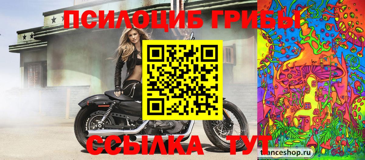 Россошь  Галлюциногенные грибы MAGIC MUSHROOMS  Галлюциногенные грибы Magic Shrooms  Вход с VPN 